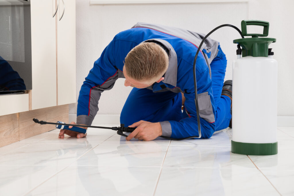 Soledad Ant Control Xperts