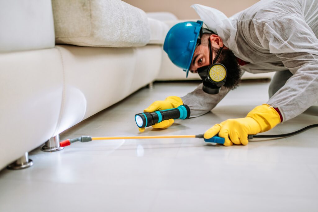 Soledad Termite Control