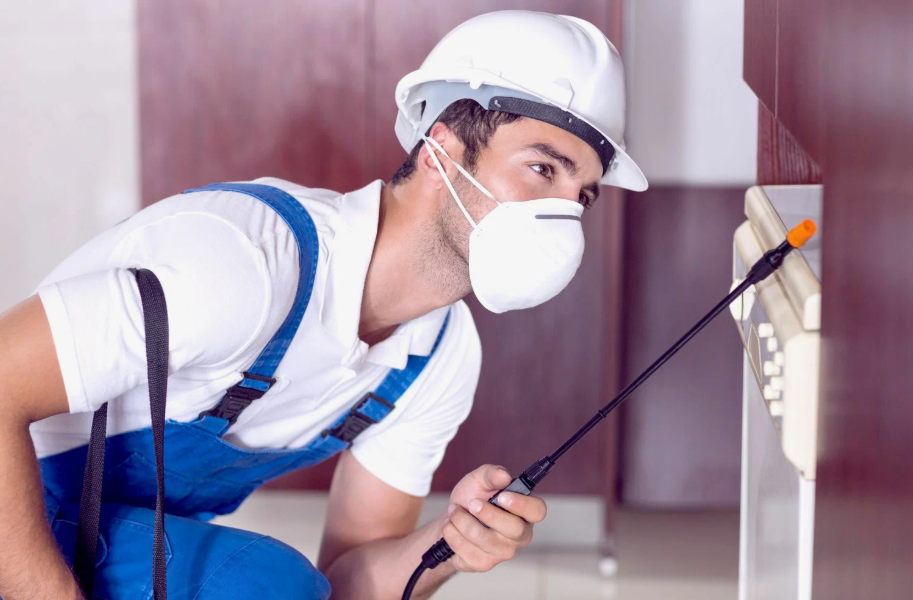 Soledad local pest services